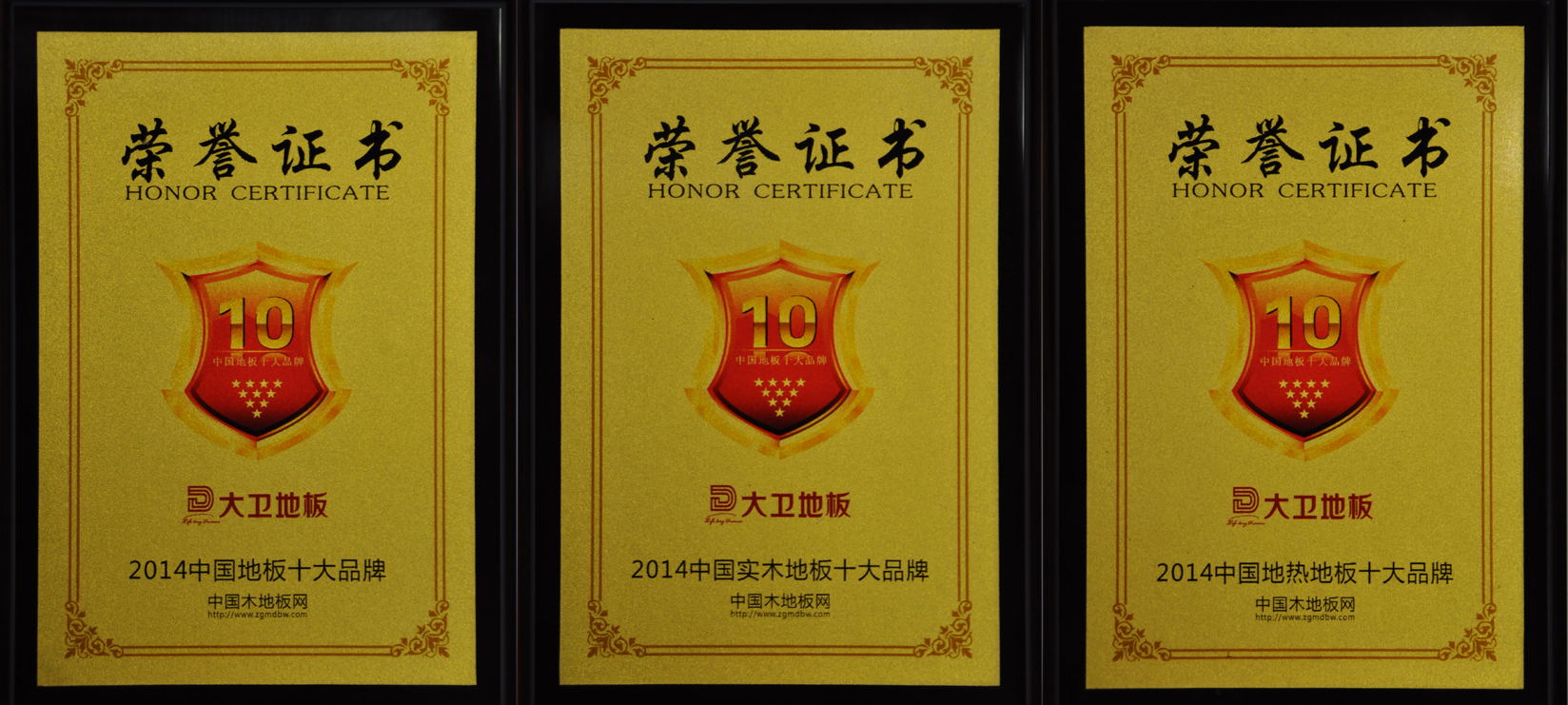 中国地板十大品牌万象城(中国)地板斩获3项荣誉(1).jpg